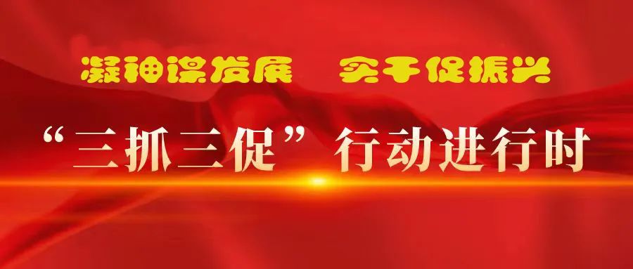 “三抓三促”進(jìn)行時(shí) | 多措并舉強(qiáng)本領(lǐng) 精準(zhǔn)落實(shí)謀發(fā)展 —— 張掖市敦煌種業(yè)有限公司落實(shí)“三抓三促行動(dòng)”紀(jì)實(shí)